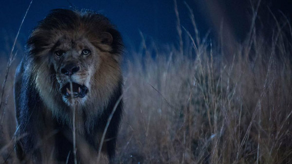 El eterno femenino de una imaginativa pintora