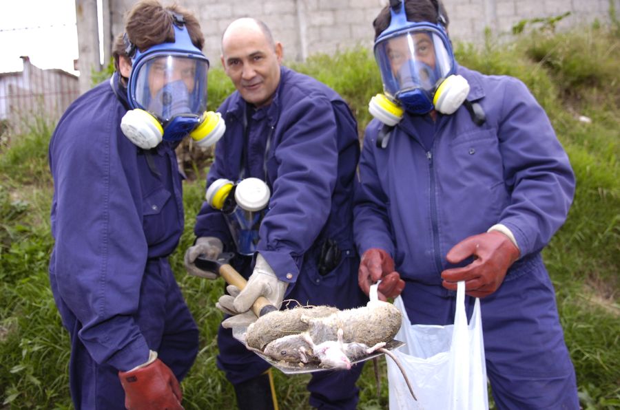 El eterno femenino de una imaginativa pintora