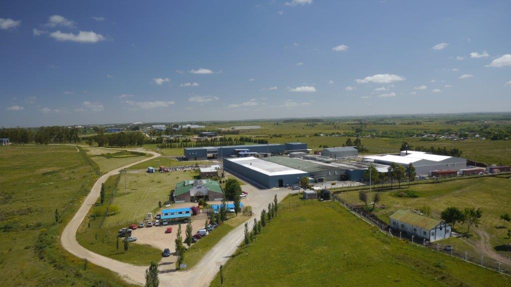 El eterno femenino de una imaginativa pintora