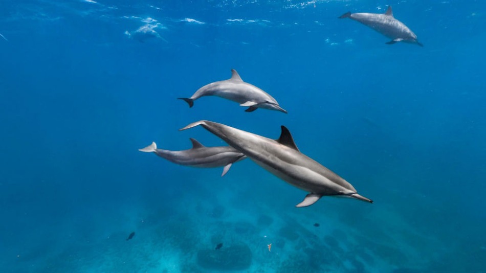 El eterno femenino de una imaginativa pintora