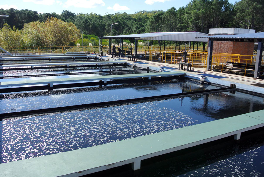 El eterno femenino de una imaginativa pintora