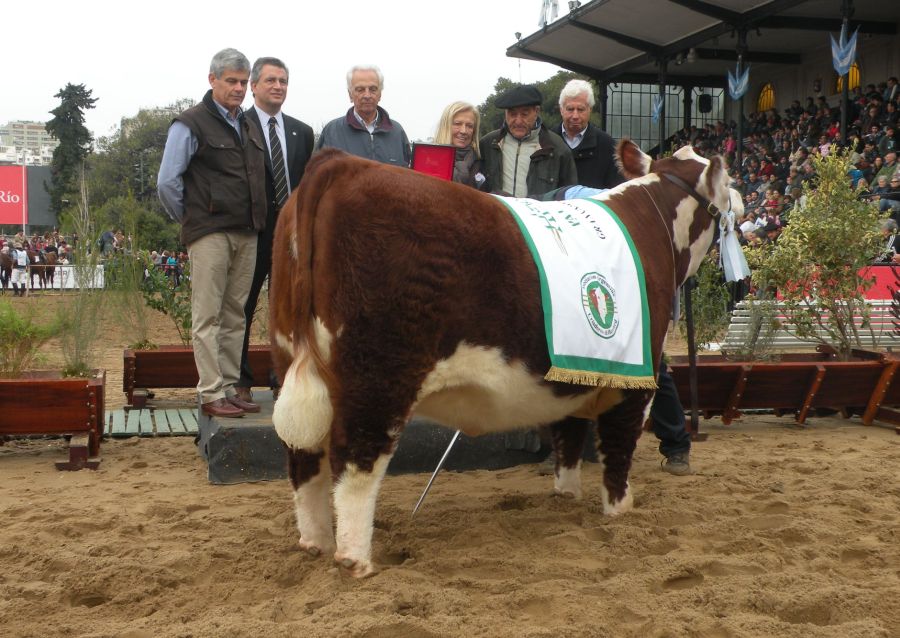 El eterno femenino de una imaginativa pintora