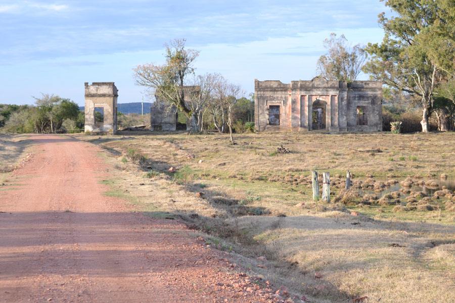 El eterno femenino de una imaginativa pintora