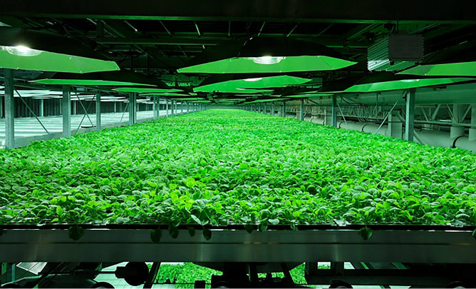 El eterno femenino de una imaginativa pintora