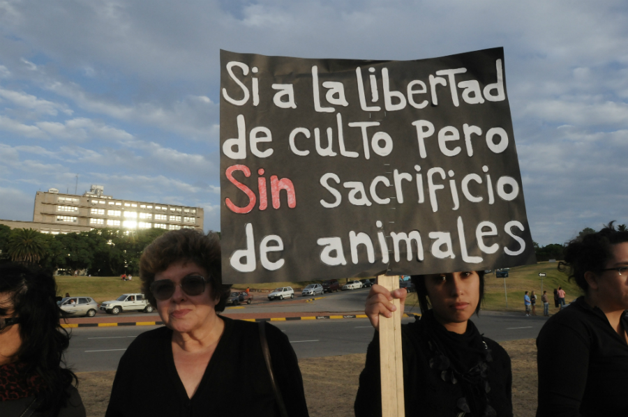 Protesta contra el maltrato animal. Foto: Agustín Martínez