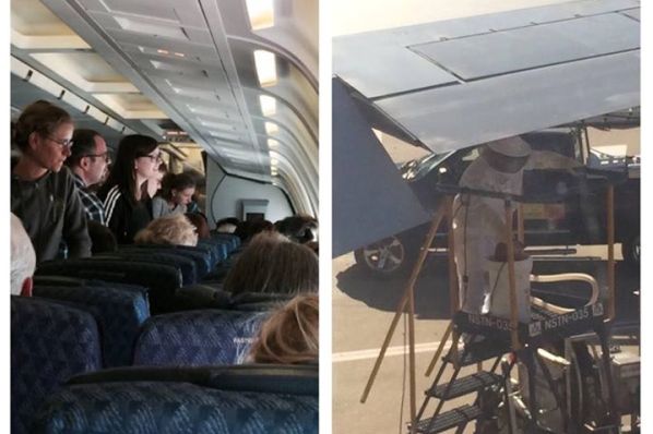 Mil abejas invadieron un avión de American Airlines en EE.UU. Foto: Karin McCay.