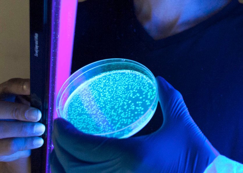 El eterno femenino de una imaginativa pintora