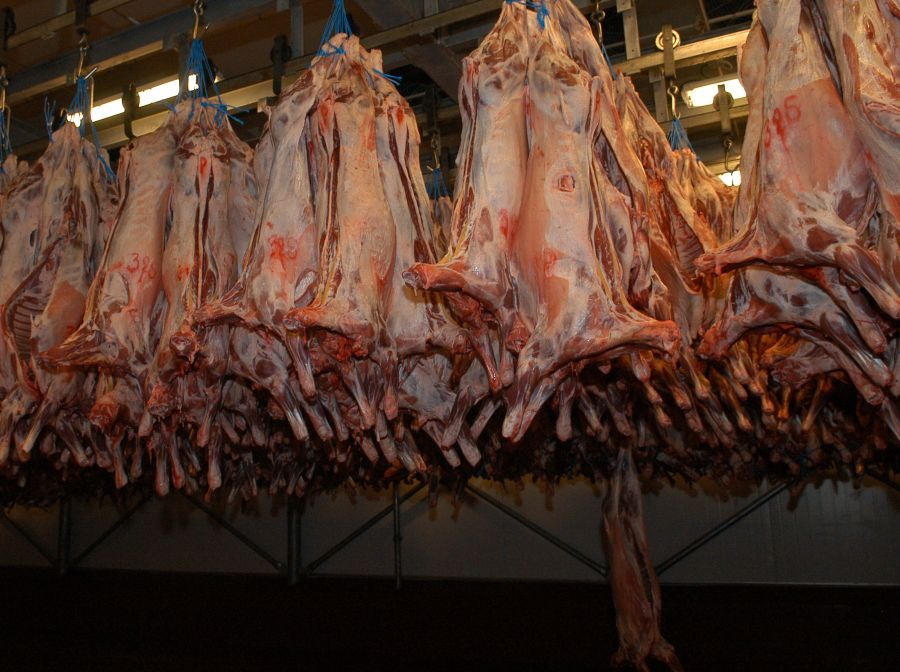 El eterno femenino de una imaginativa pintora