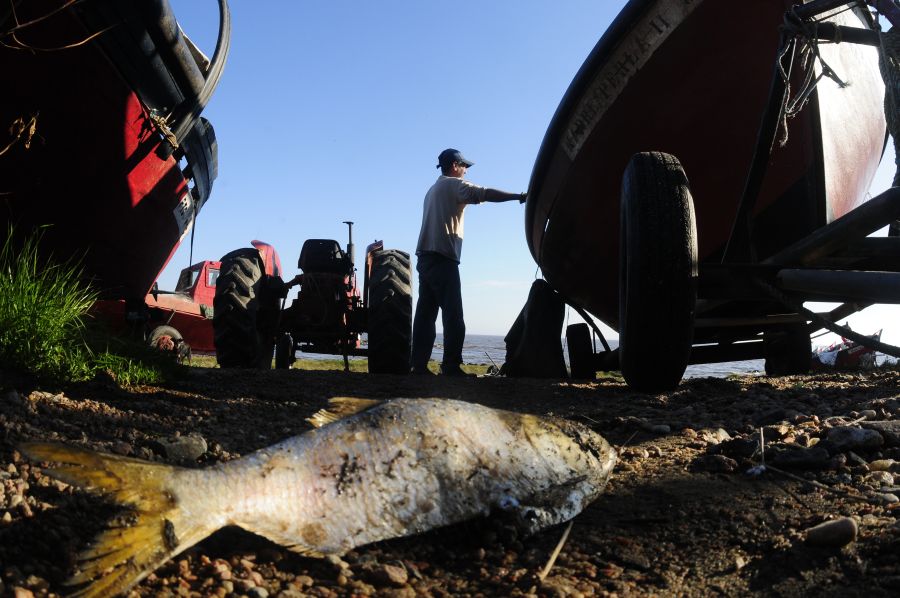 Pescadores rechazan acusaciones de vecinos de que delincuentes se esconden en el rancherío.