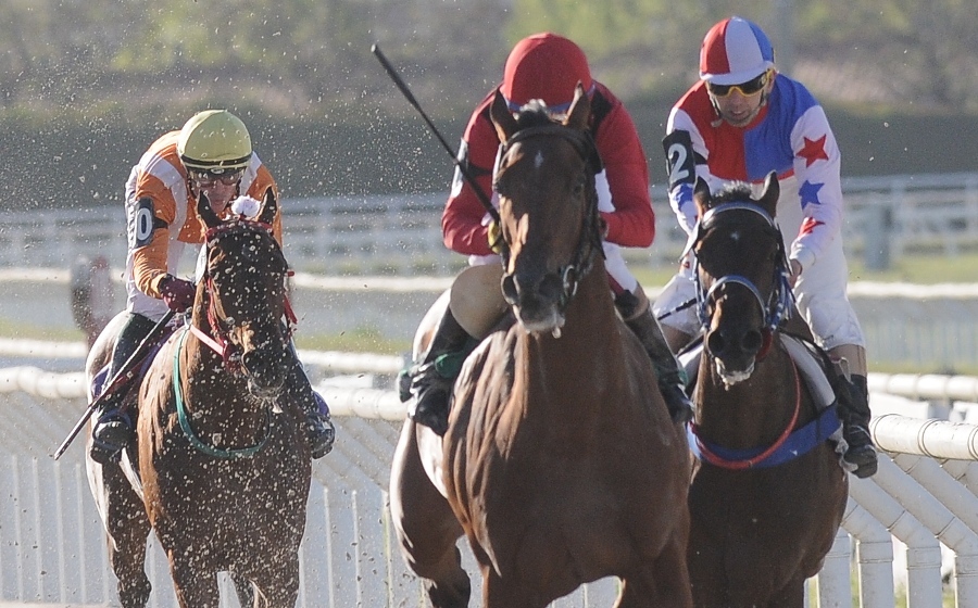 El eterno femenino de una imaginativa pintora