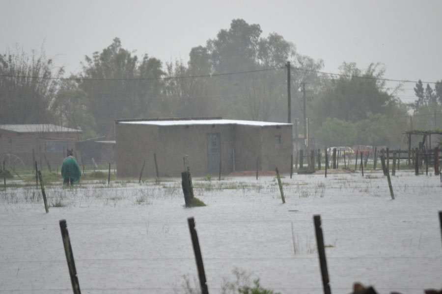 El eterno femenino de una imaginativa pintora