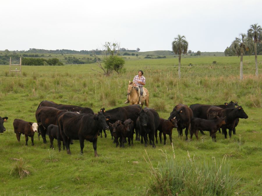 El eterno femenino de una imaginativa pintora