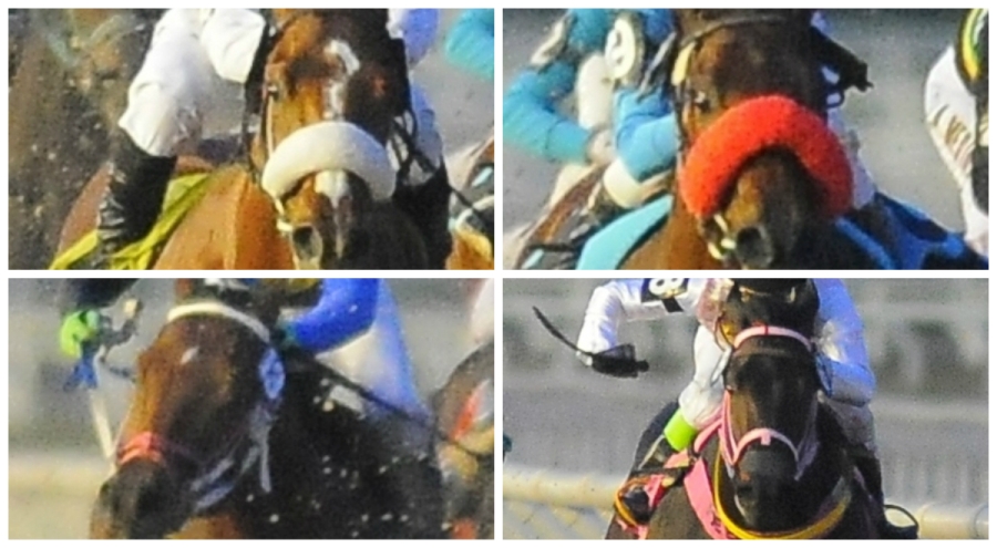 El eterno femenino de una imaginativa pintora