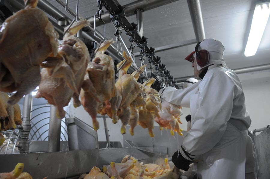 El eterno femenino de una imaginativa pintora