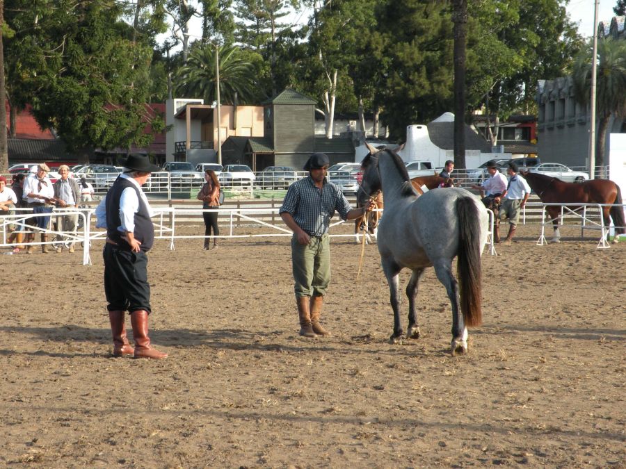 El eterno femenino de una imaginativa pintora