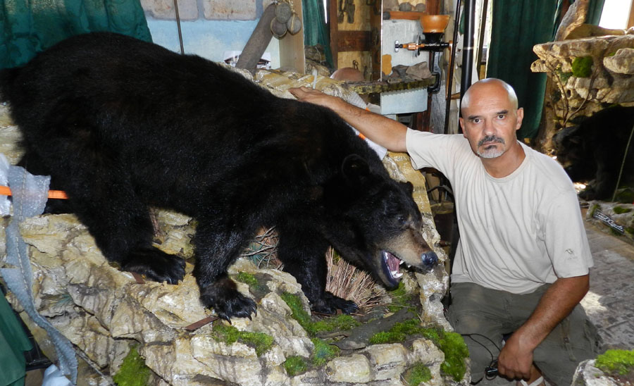 taxidermista Daniel Cóppola