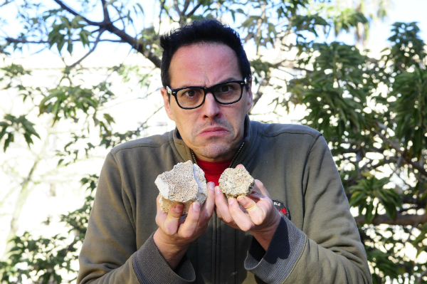 El eterno femenino de una imaginativa pintora