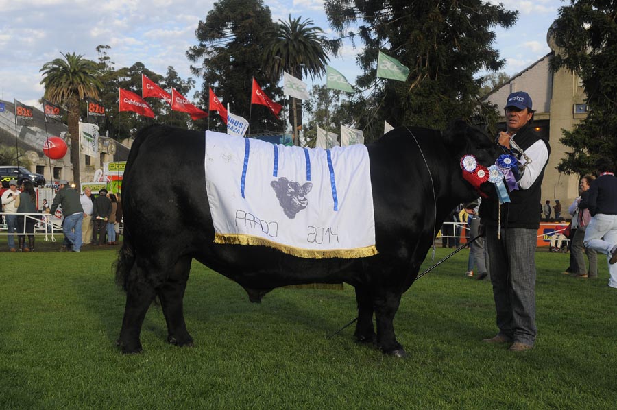 El eterno femenino de una imaginativa pintora