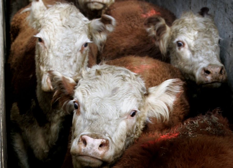 El eterno femenino de una imaginativa pintora