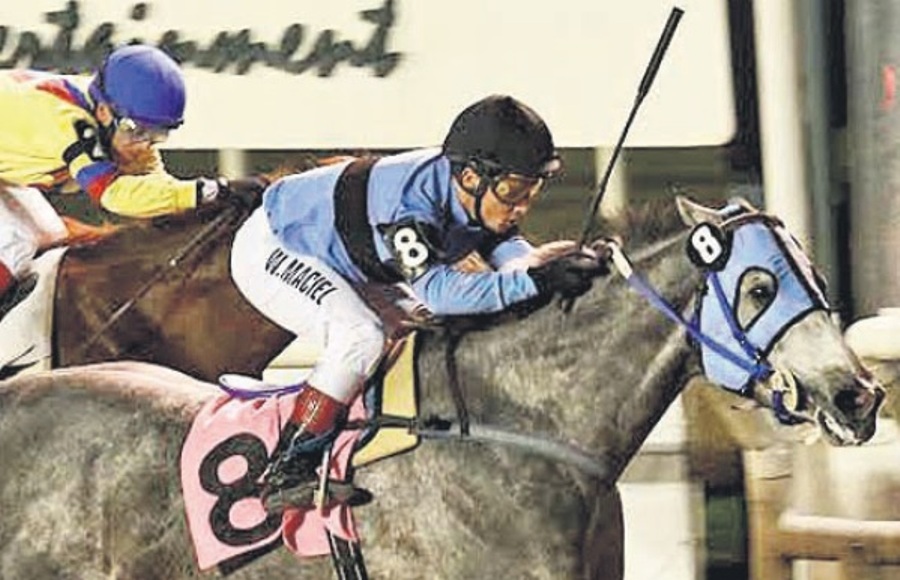 El eterno femenino de una imaginativa pintora