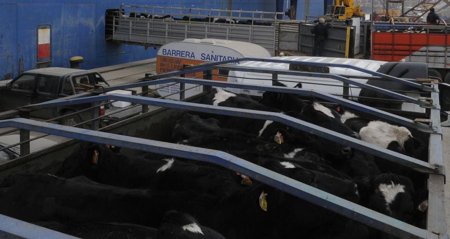 El eterno femenino de una imaginativa pintora