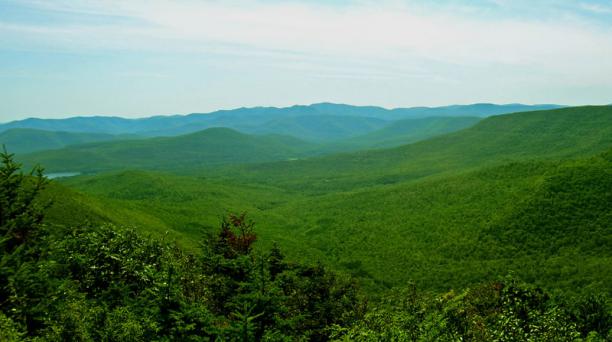 En Catskills 'florecieron' los hospedajes tipo 'bed & breakfast' (Hotel Dylan, Arnold House). Foto: Wikicommons