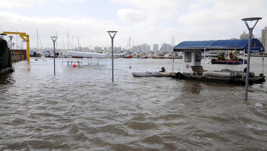 El eterno femenino de una imaginativa pintora
