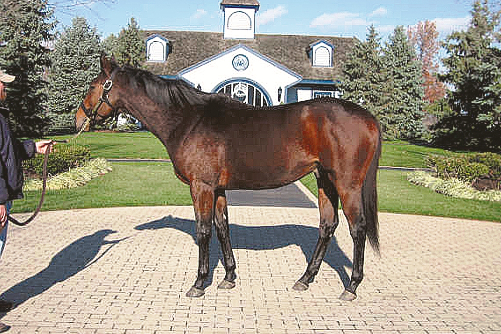 El eterno femenino de una imaginativa pintora