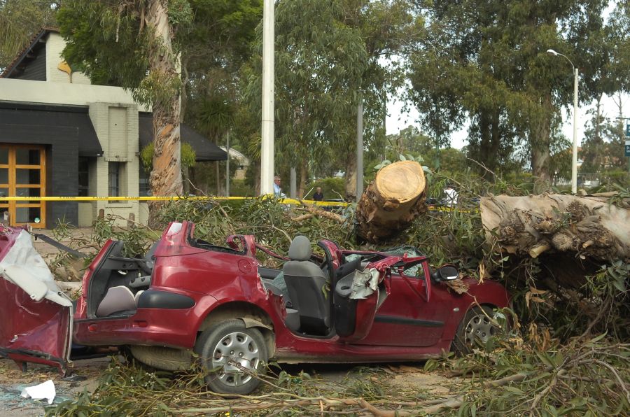 El eterno femenino de una imaginativa pintora