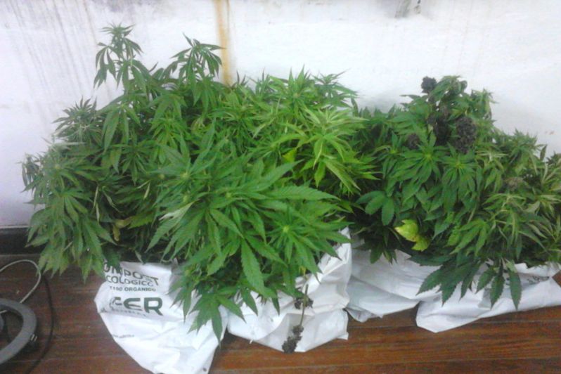 El eterno femenino de una imaginativa pintora