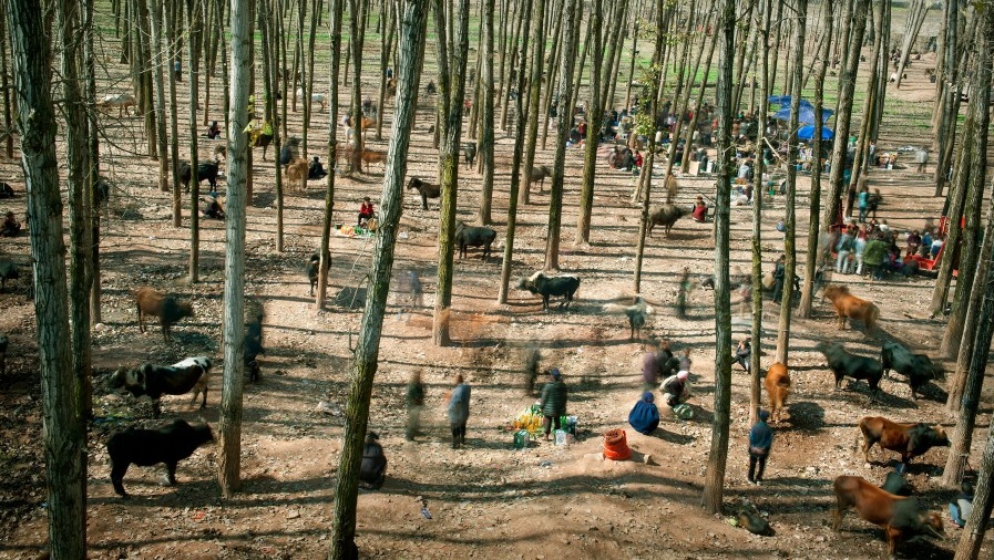 Ganadora Vida Cotidiana. Gente se reúne para compraventa de vacas y caballos en China. Foto: Cai Sheng Xiang.
