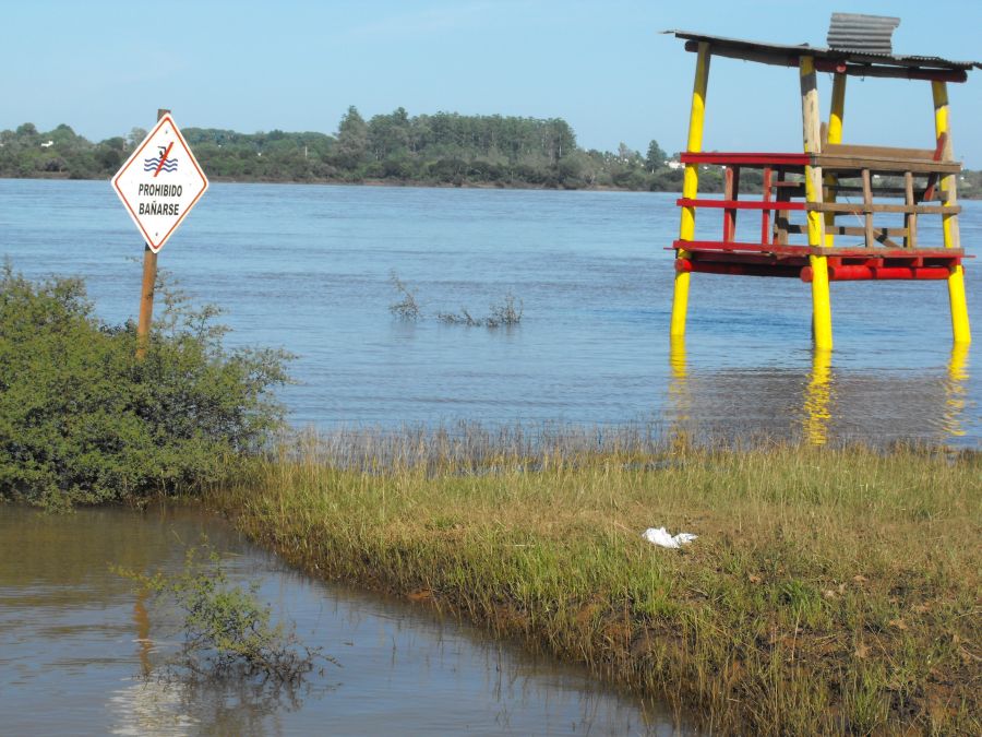 El eterno femenino de una imaginativa pintora