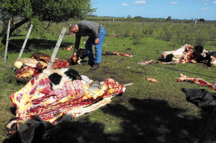 El eterno femenino de una imaginativa pintora