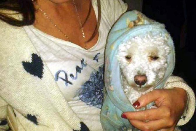 El eterno femenino de una imaginativa pintora