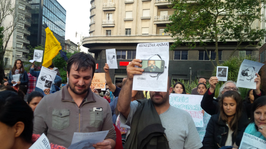 Martínez con bozal en el celular de uno de los manifestantes. Foto: M. Eugenia Lima