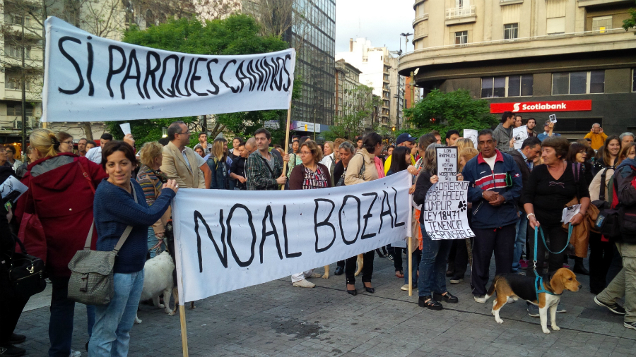 El eterno femenino de una imaginativa pintora