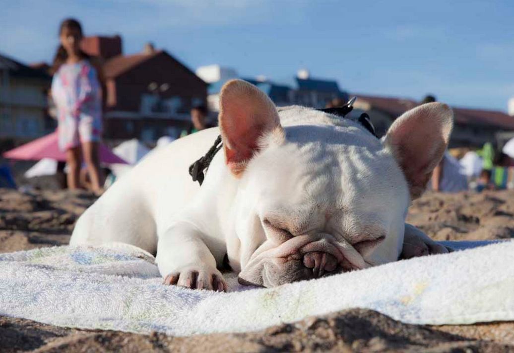 Foto: LA NACION / Matías Aimar