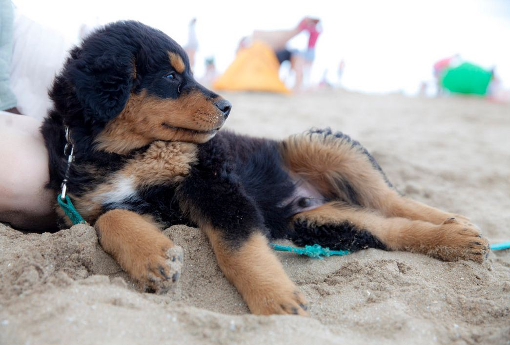 Foto: LA NACION / Matías Aimar