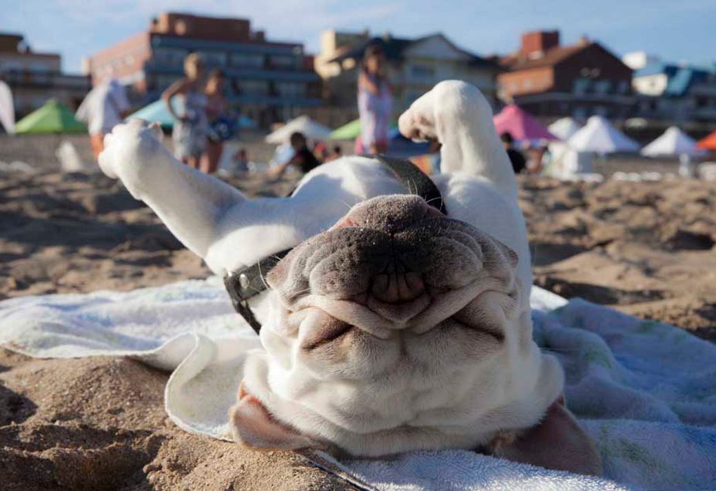 Foto: LA NACION / Matías Aimar