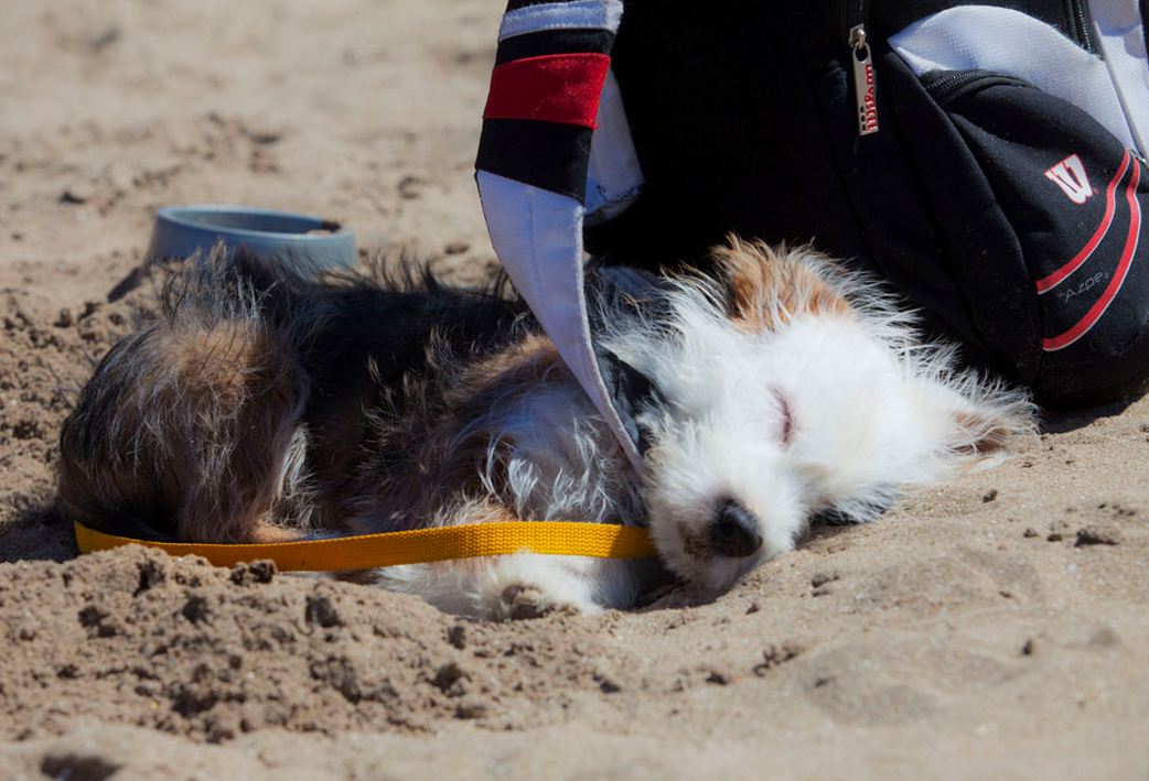 Foto: LA NACION / Matías Aimar