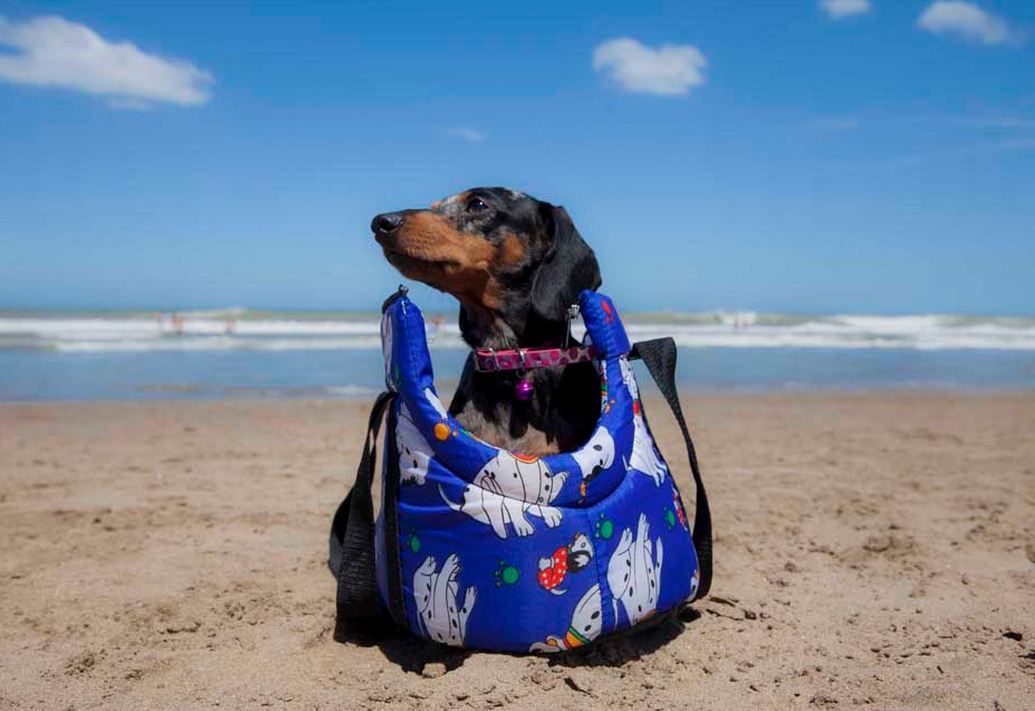 Foto: LA NACION / Matías Aimar