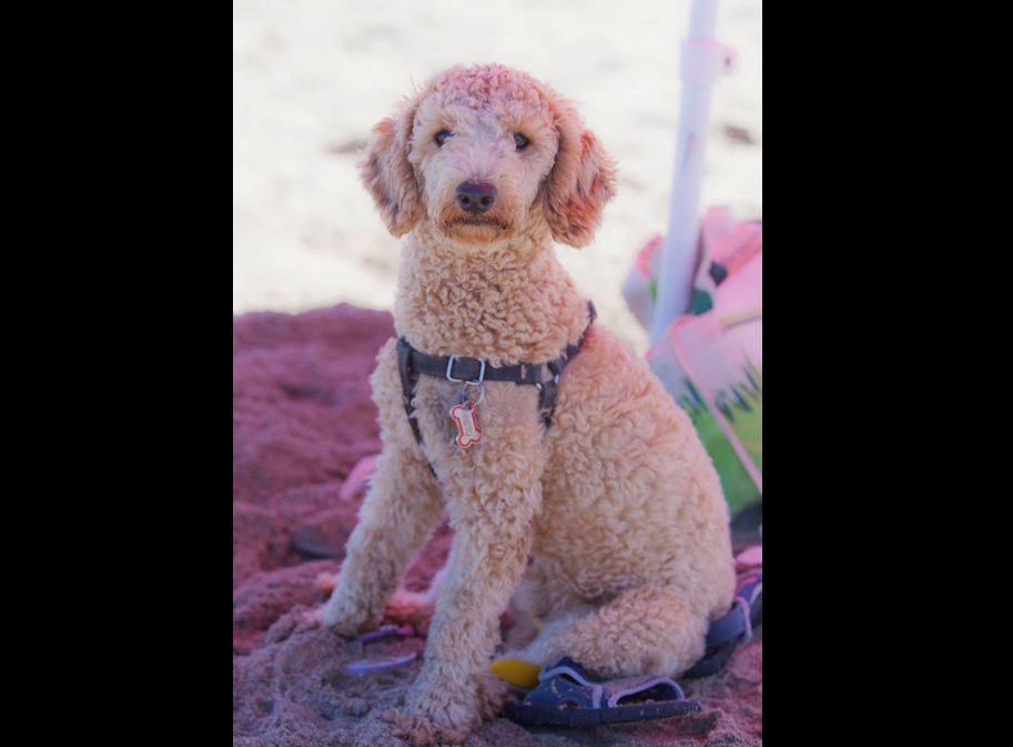 Foto: LA NACION / Matías Aimar