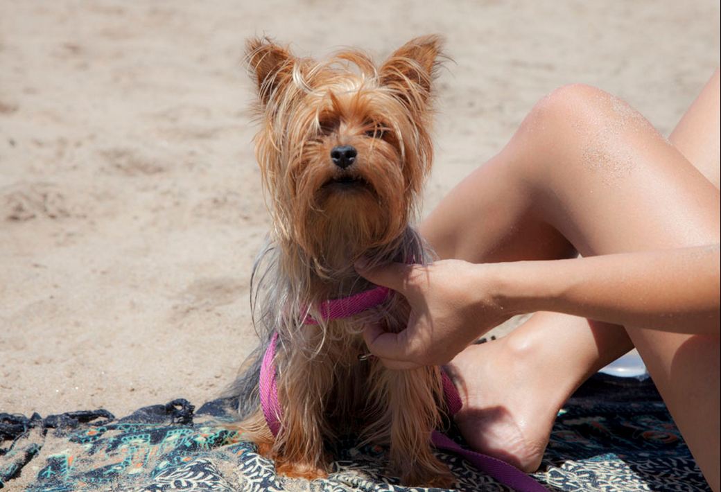 Foto: LA NACION / Matías Aimar