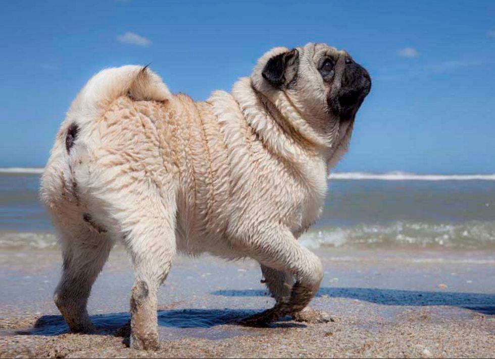 Foto: LA NACION / Matías Aimar