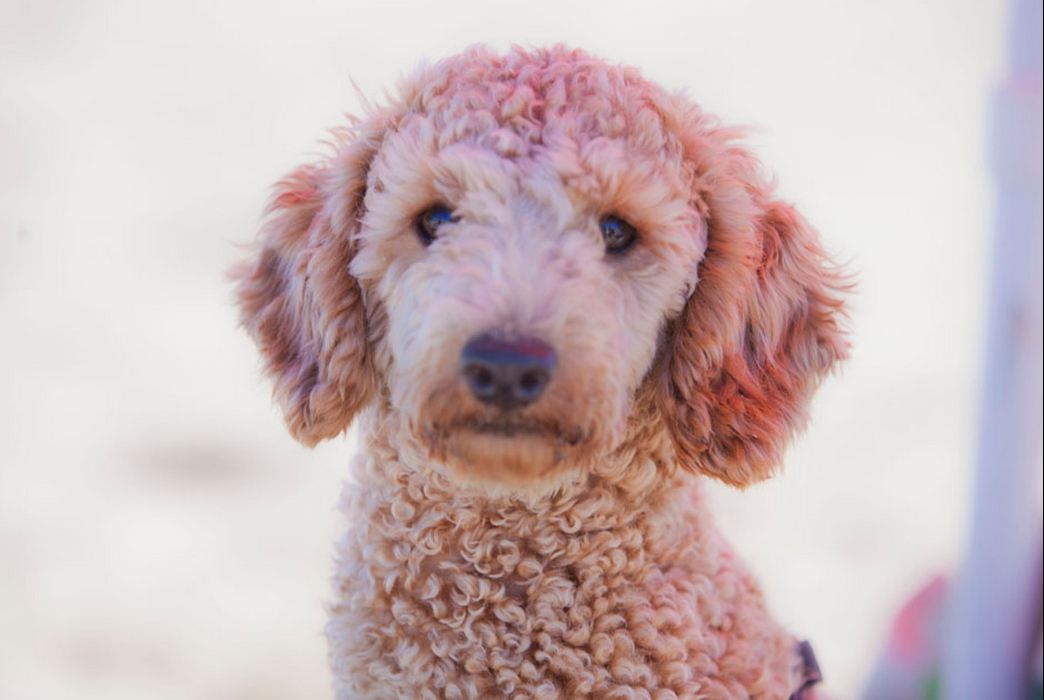 Foto: LA NACION / Matías Aimar