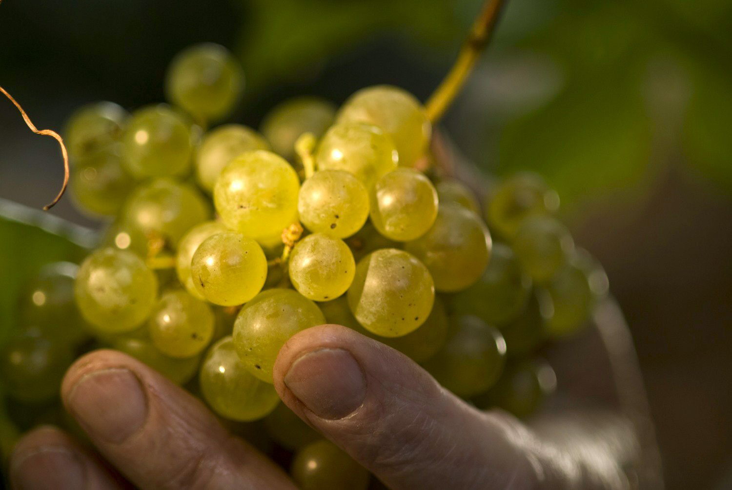 El eterno femenino de una imaginativa pintora