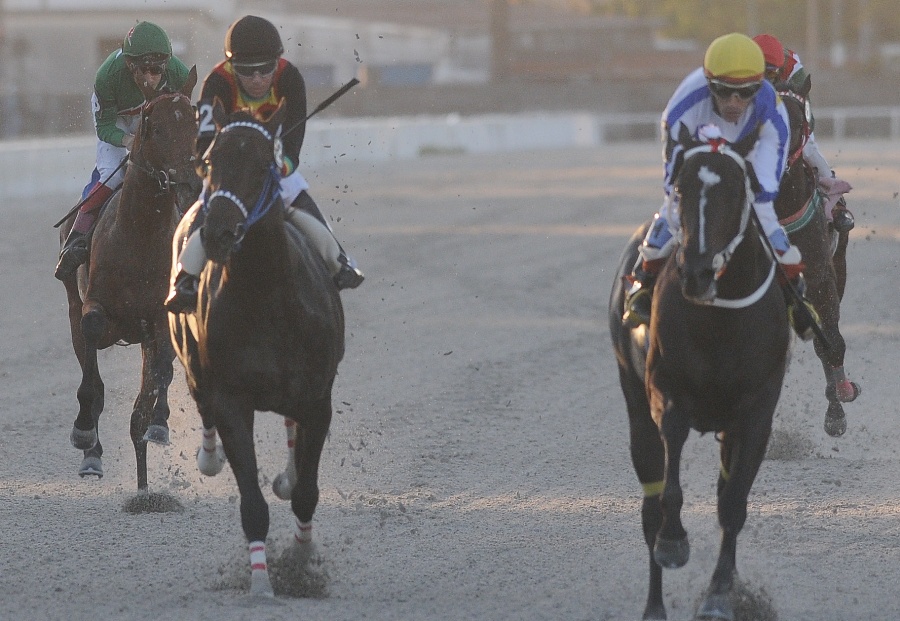 El eterno femenino de una imaginativa pintora