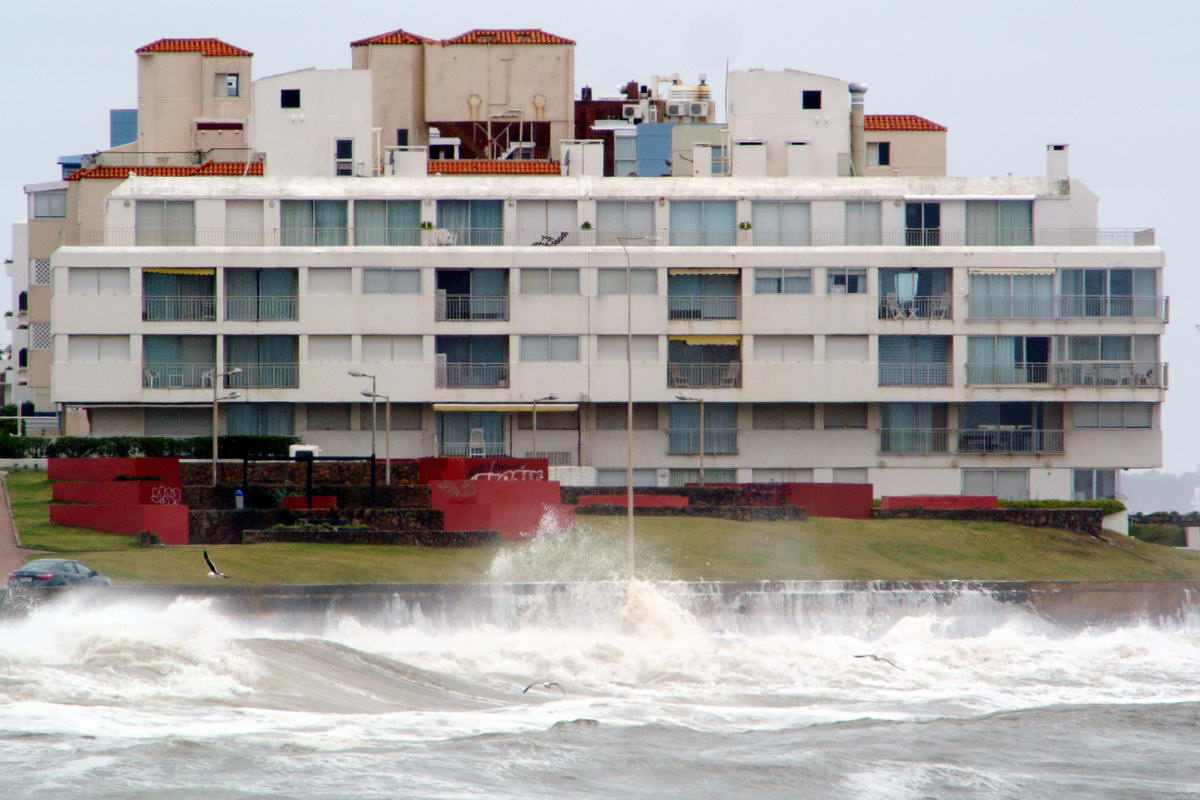 Foto: Ricardo Figueredo