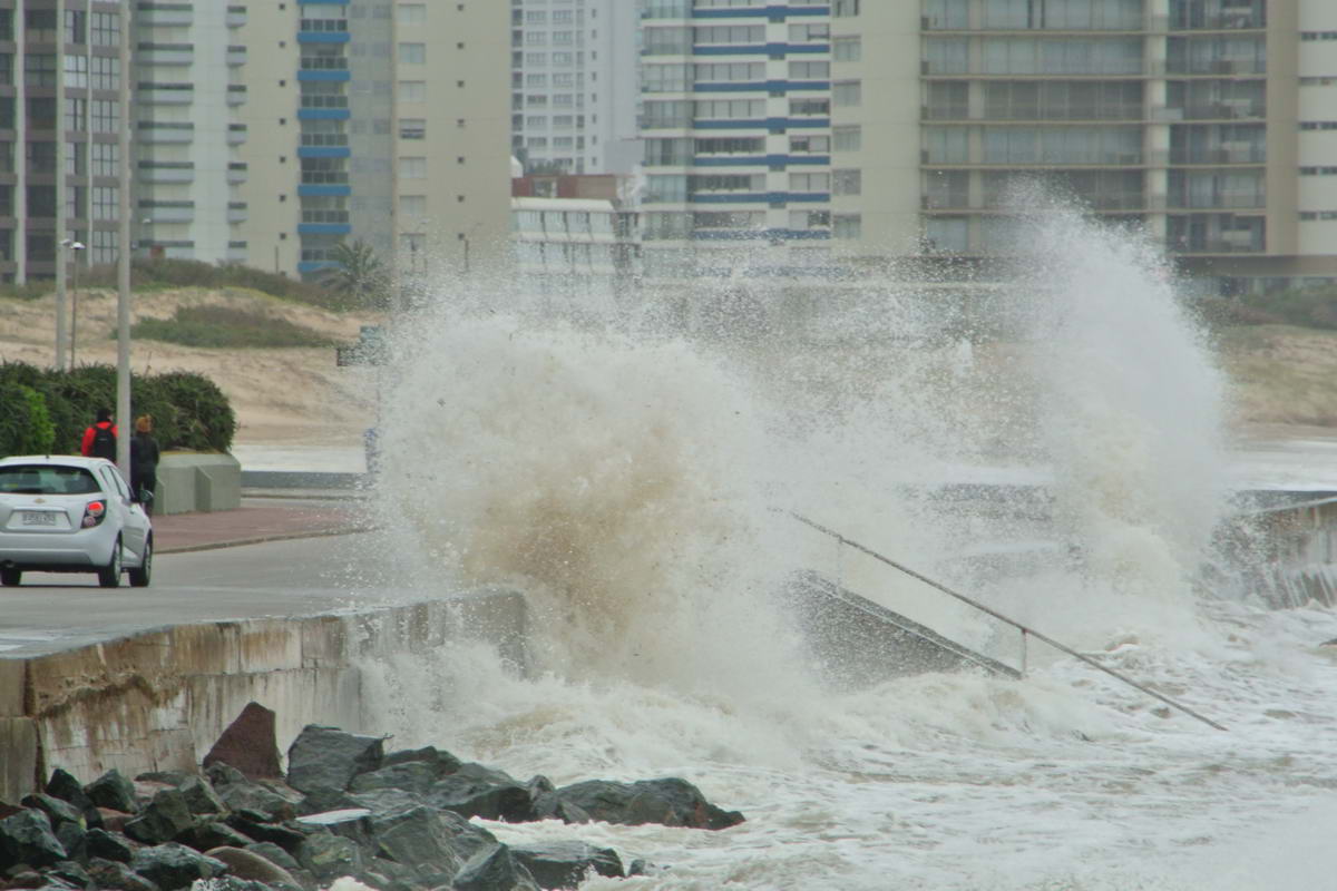 Foto: Ricardo Figueredo