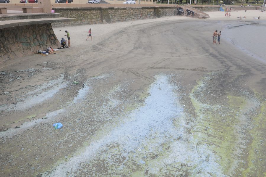 Cianobacterias en playas de Montevideo. Foto: Ariel Colmegna.